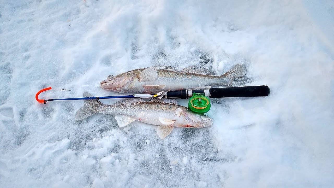 Ратлины для зимней рыбалки: критерии выбора, лучшие модели