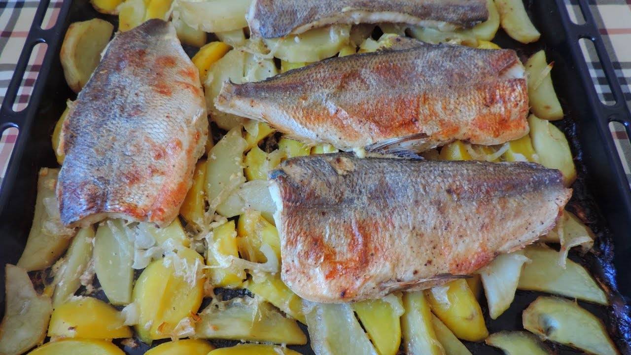 Как вкусно приготовить пелядь? 6 рецептов приготовления рыбы сырок в домашних условиях
