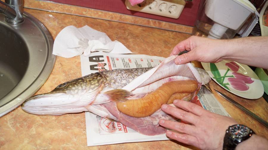 Как обработать рыбу от описторхоза: как солить, жарить или тушить | признаки, лечение и диагностика вгкб № 2