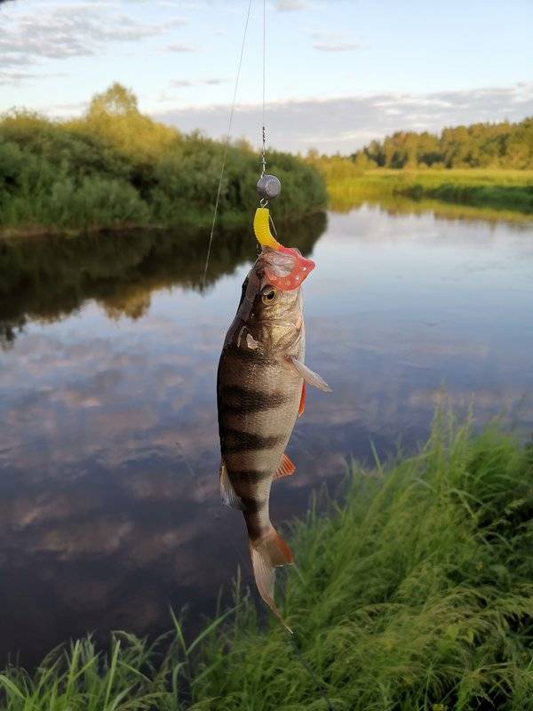 Как найти рыбу на незнакомой реке? топ 5 мест стоянки рыбы на реке