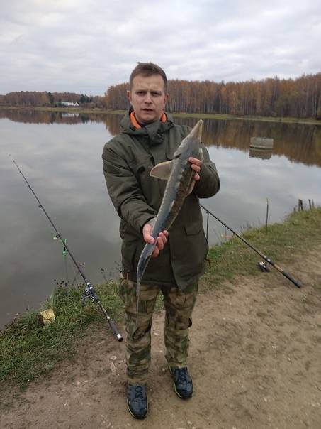 Серпухов - календарь рыболова. рыбалка в серпухове, график клёва рыбы.