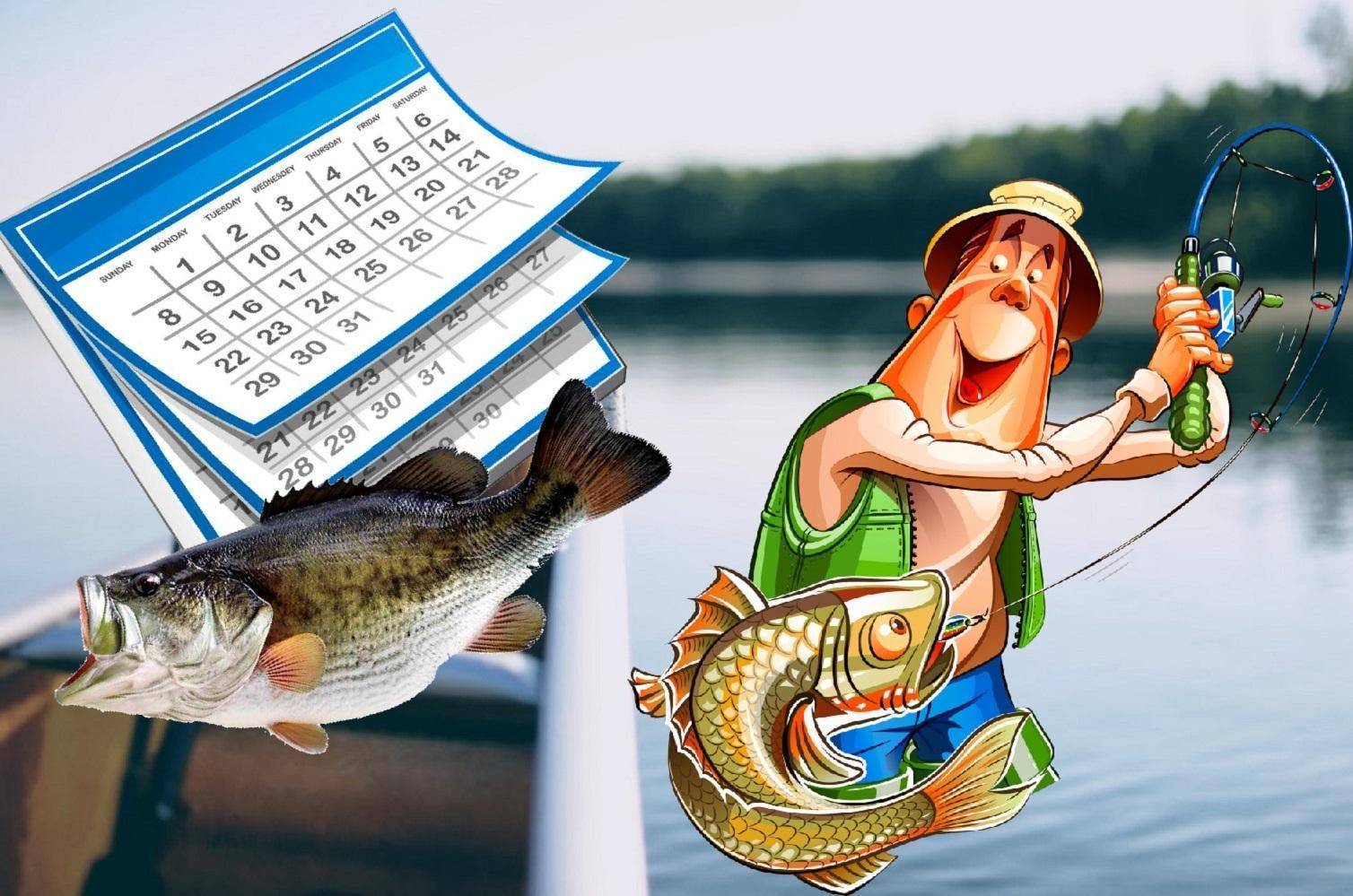 Рыбалка онлайн: про рыбалку зимой, осенью, летом и весной – секреты рыбной ловли!