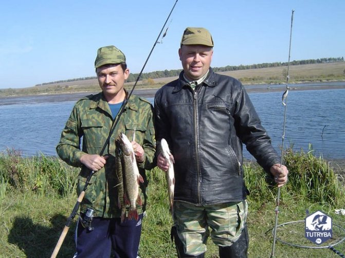 Платная рыбалка в курской области: рыболовные базы, туры и водоемы курской области