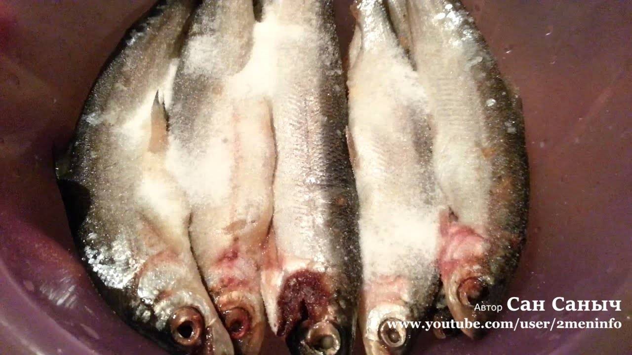 Ряпушка – пошаговые рецепты приготовления