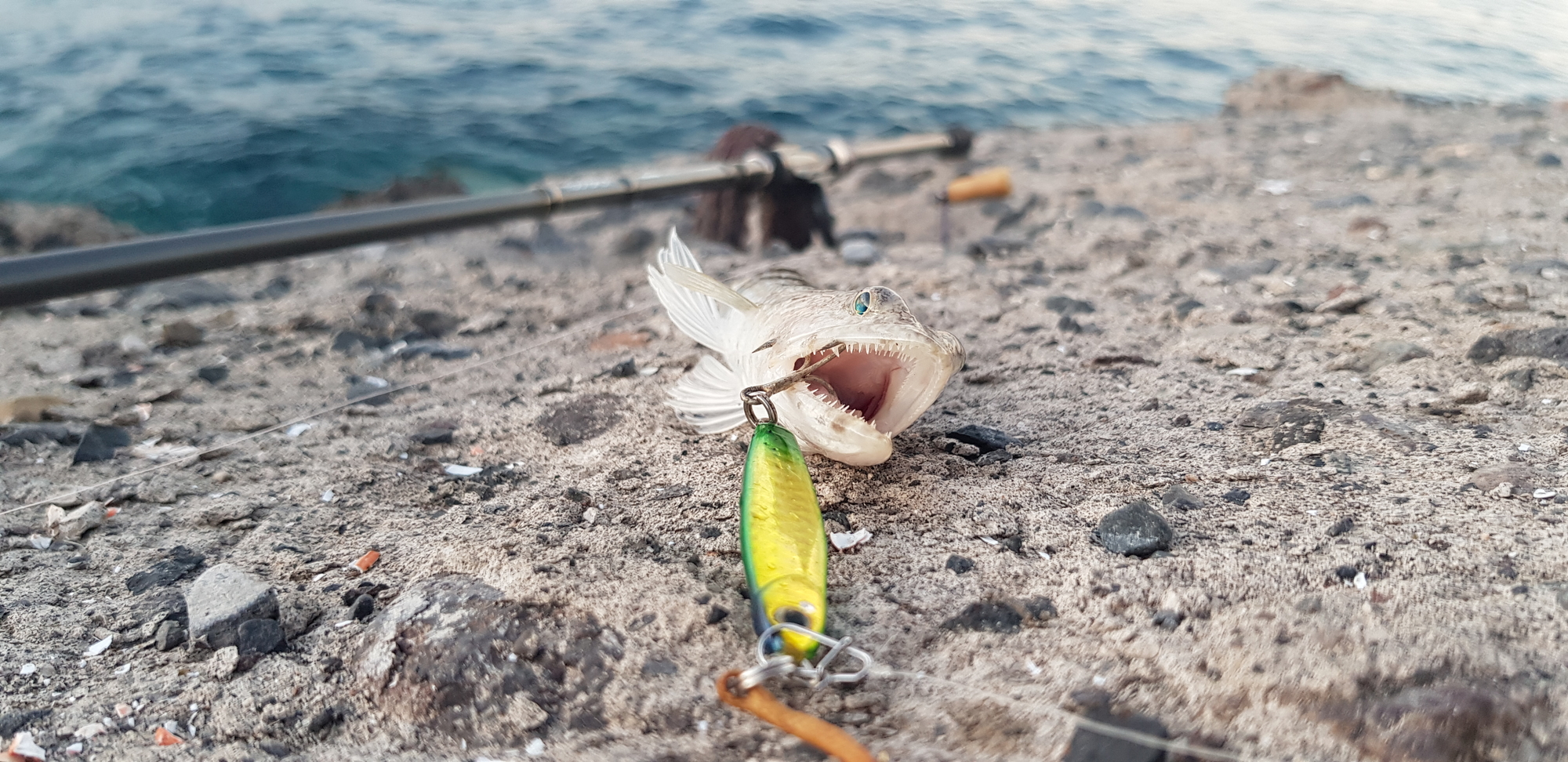 Рыбалка на канарских островах: поймай удачу за хвост!