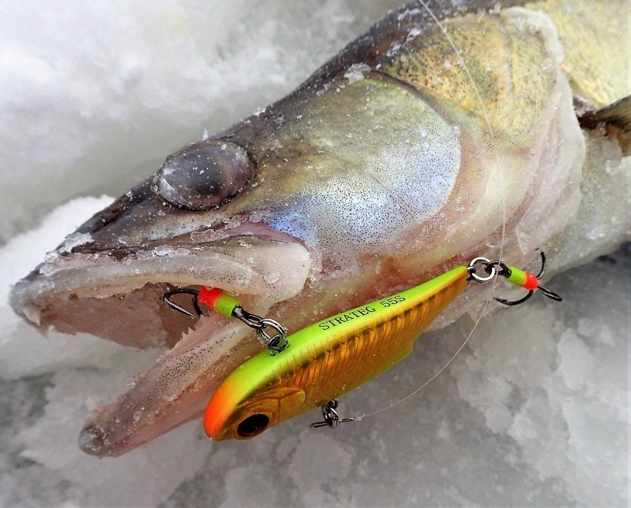 Снасти для ловли судака зимой: выбираем правильно - читайте на сatcher.fish