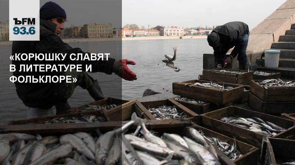Трехсотлетняя рыба: корюшка в истории, литературе и фольклоре Петербурга 