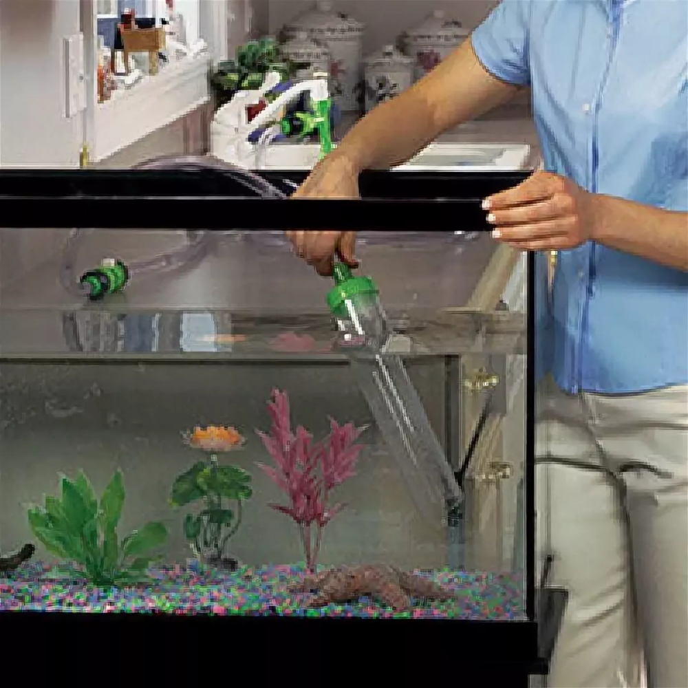 Чистка аквариума с рыбками в домашних условиях: почистить большой и маленький резервуар, средства для мытья