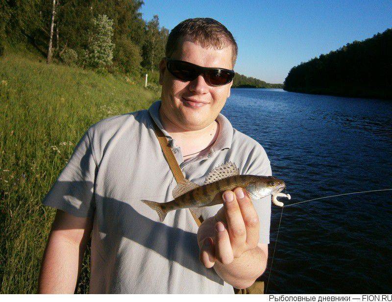 Рыбалка на канале имени москвы: видовой состав рыб, лучшие места для ловли