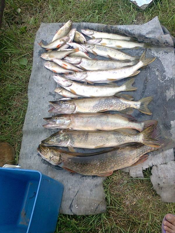 Рыбалка на реке Лена