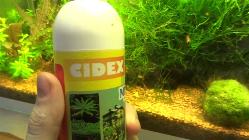 Как избавиться от водорослей в аквариуме при помощи сайдекса?
