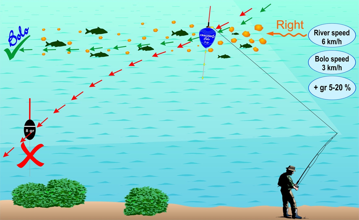 Виды поплавков для рыбалки и их назначение