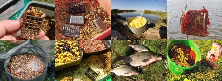 Прикормка для карася – способы приготовления, ингредиенты, цвет, советы профессионала - статьи о рыбалке