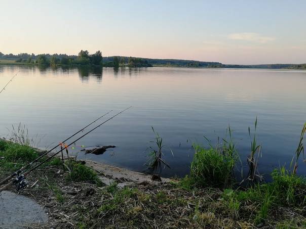 ✅ рыбалка во владимирской области - рыбзон.рф