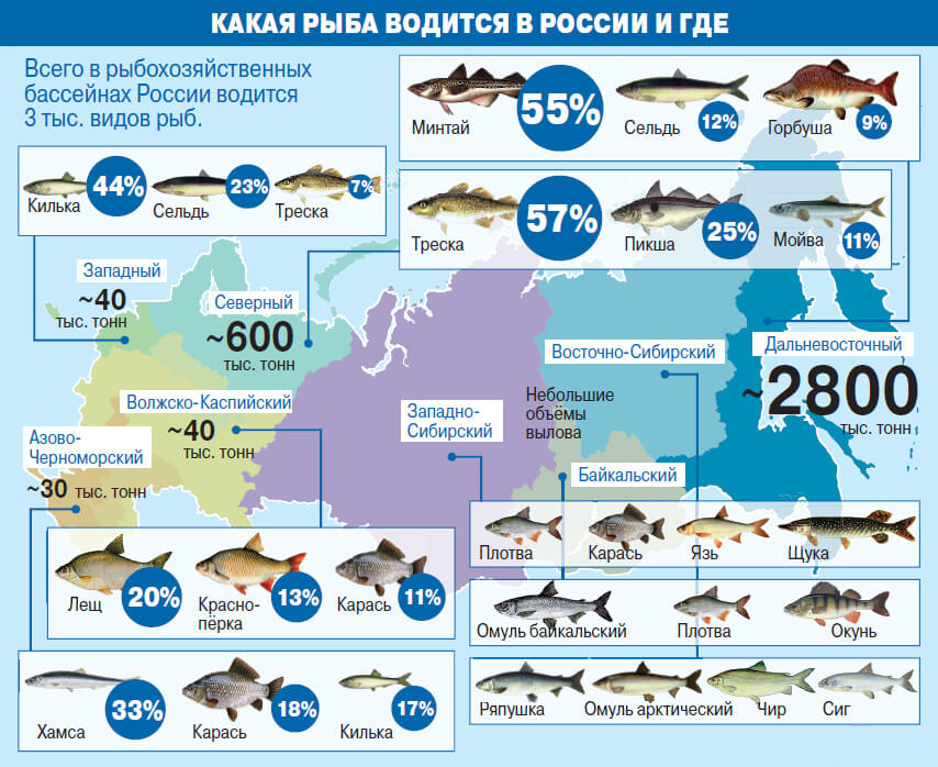 Карта рыболова московская область
