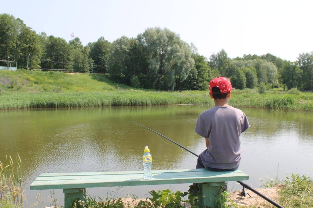 15 лучших рыболовных мест в брянской области: бесплатные и платные