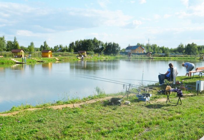 Триал русская рыбалка в чеховском районе подмосковья: описание базы, цены, отзывы