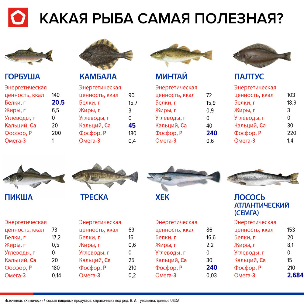 7 самых полезных видов рыбы
