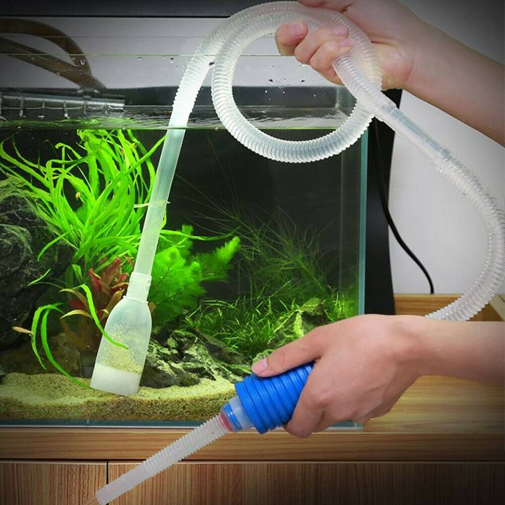 Как почистить аквариум с рыбками в домашних условиях, не сливая воду: фото, видео