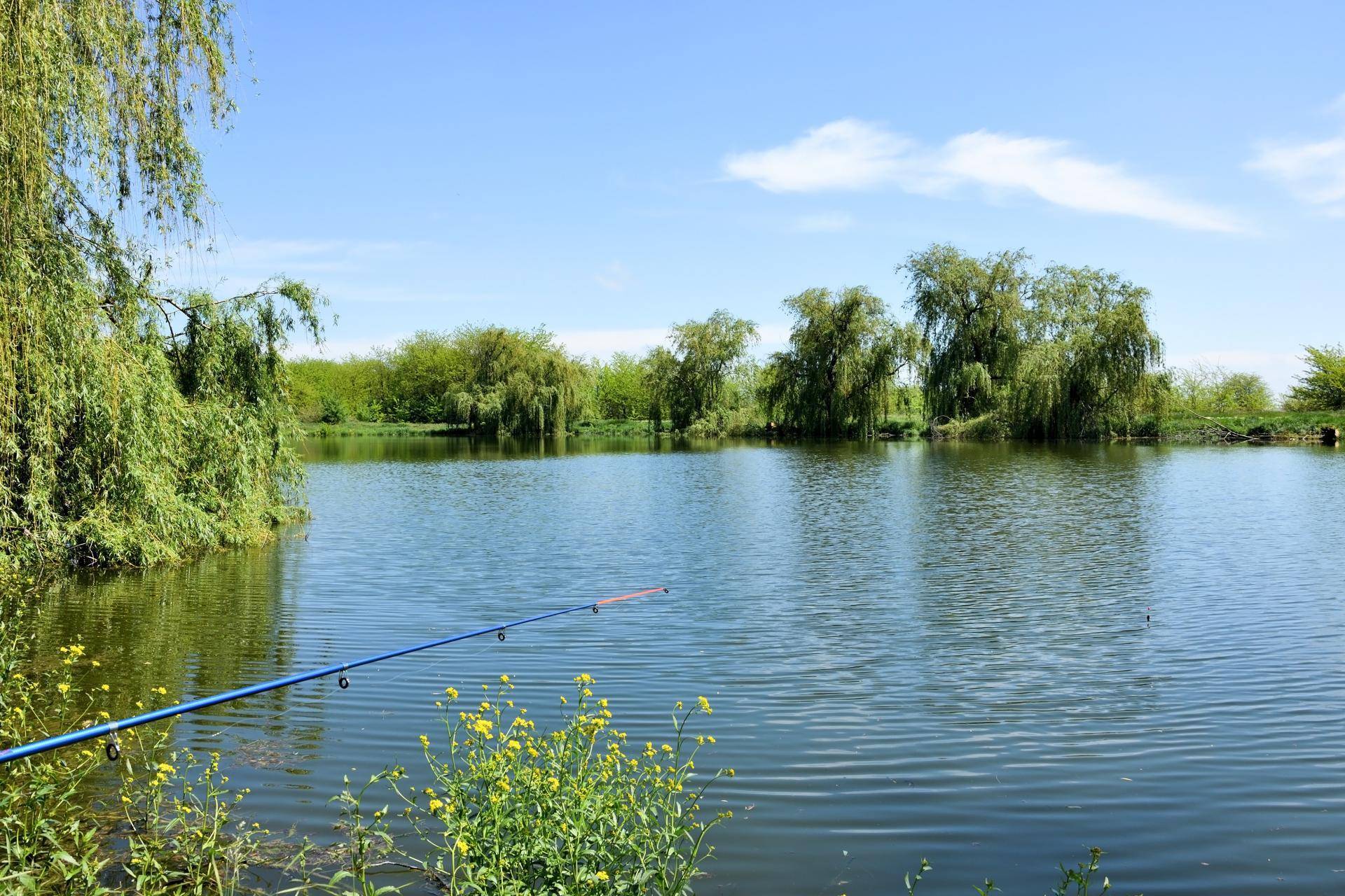 15 лучших рыболовных мест в тамбовской области. платные и бесплатные