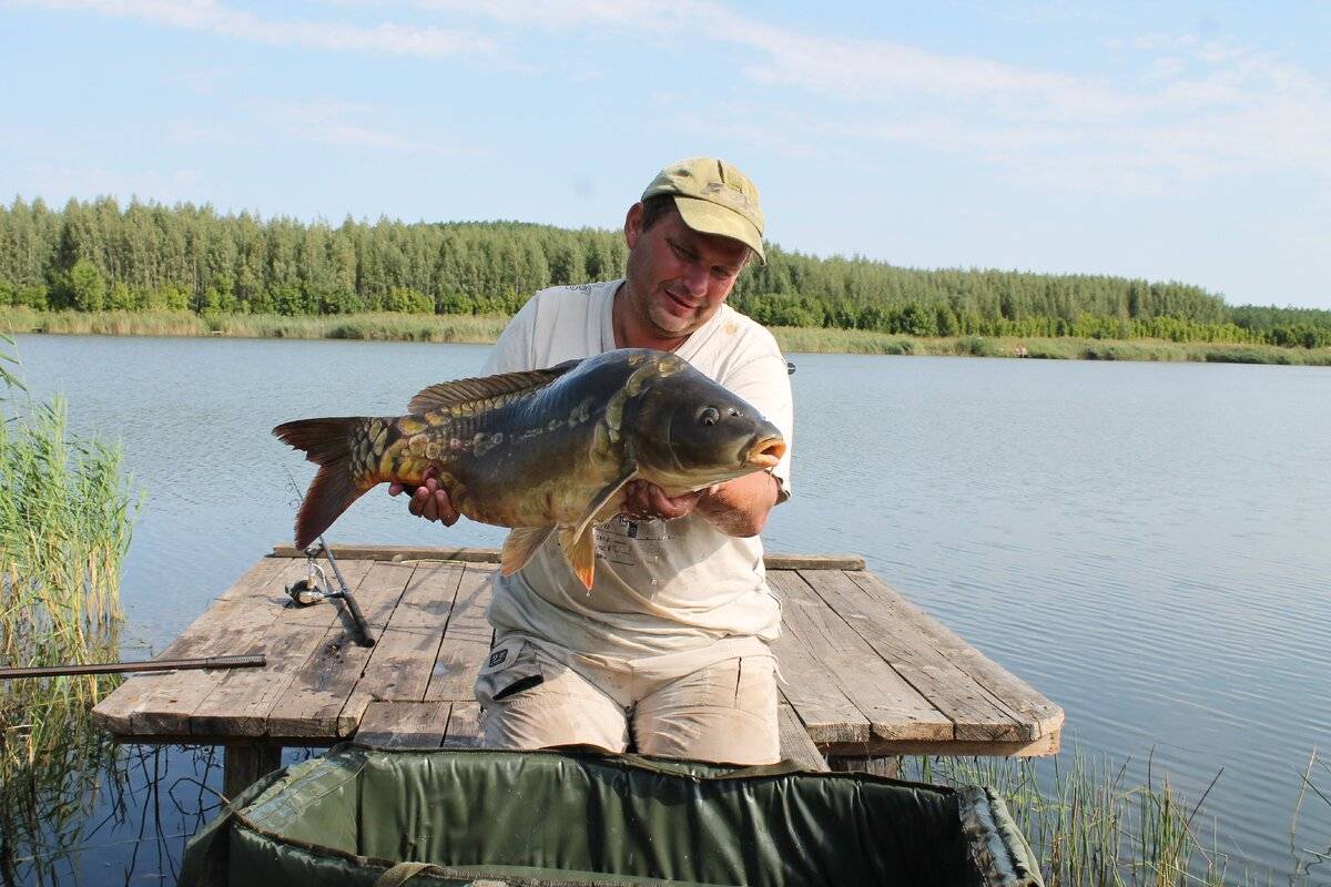 Платная рыбалка в саратовской области: рыболовные туры, охотничьи базы и водоемы саратова
