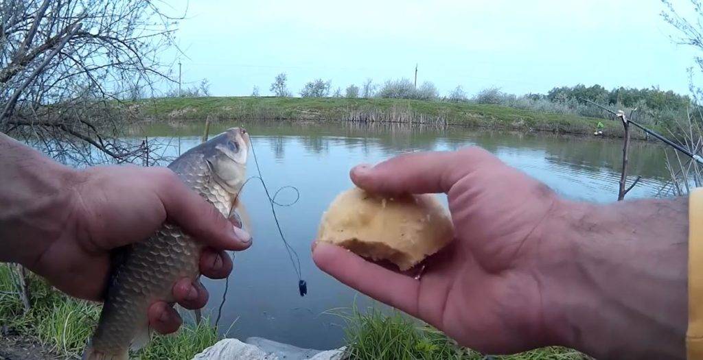 Ловля карася - 20 видео о рыбалке на поплавочную удочку и фидер