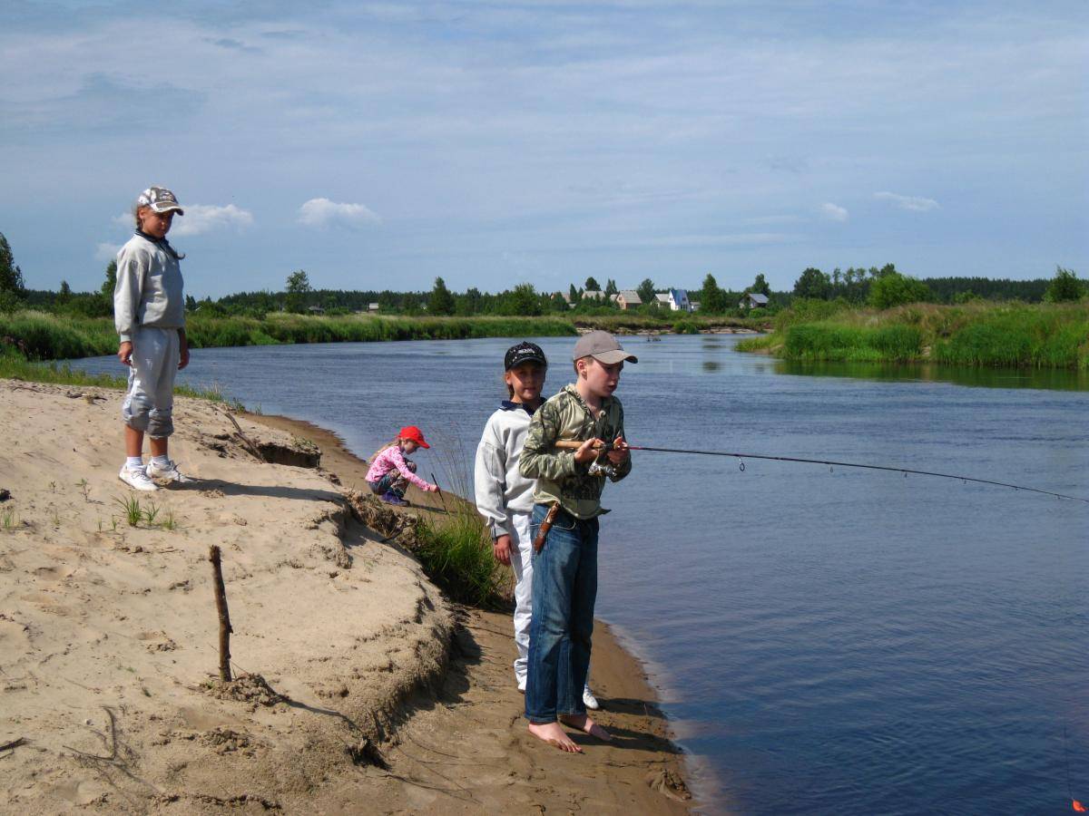 Рыбалка в рязанской области и в рязани - fishingwiki