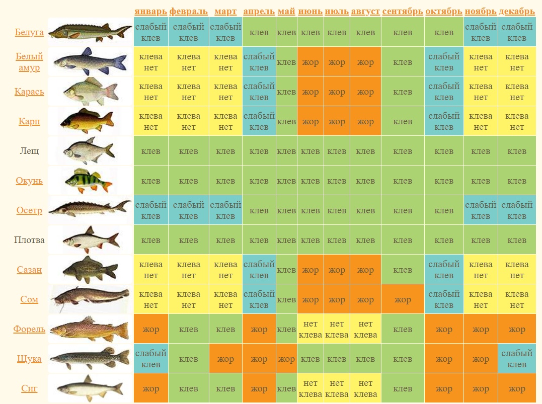 Нерест рыбы - календарь клева