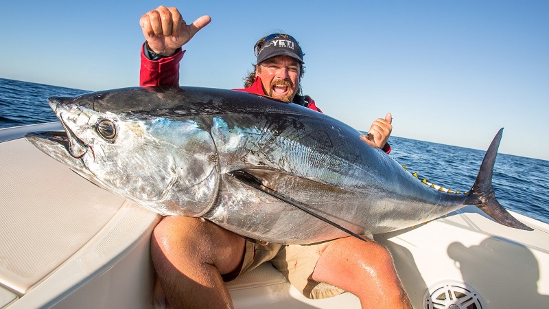 Рыбалка на тунца на кипре - все о трофейной ловле