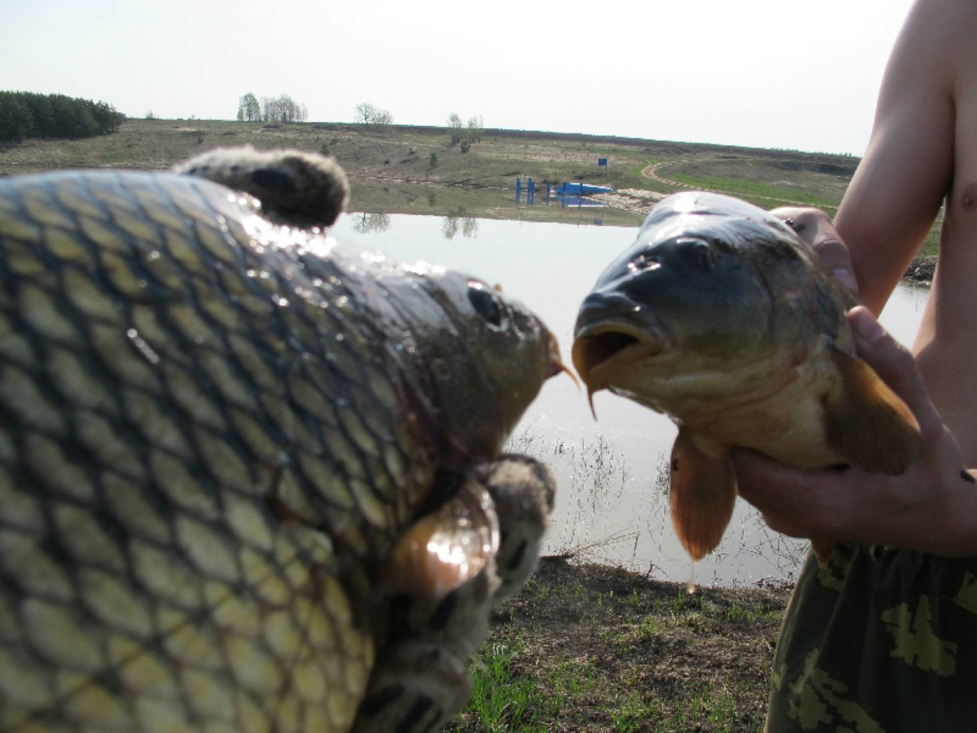 ✅ рыбалка в крымском районе краснодарского края - danafish.ru