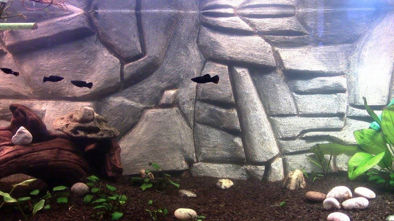 Как приклеить фон на заднюю стенку аквариума?