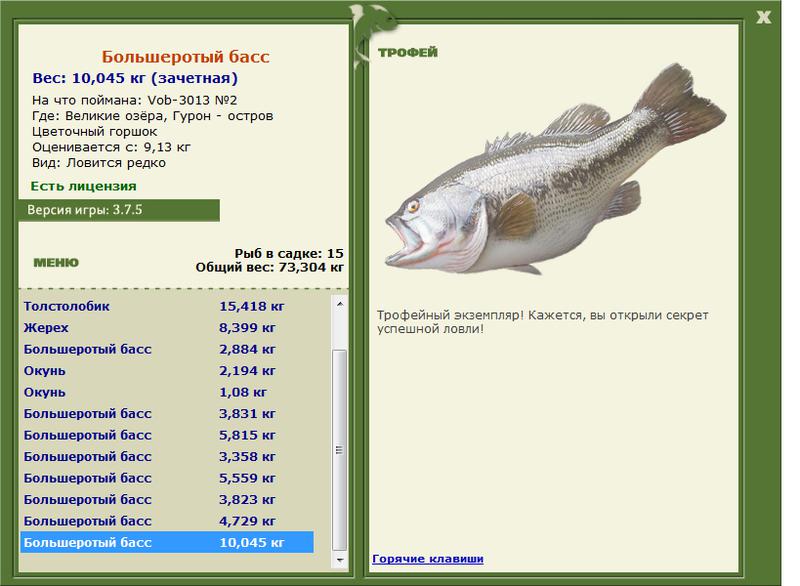 Морской окунь темный фото и описание – каталог рыб, смотреть онлайн