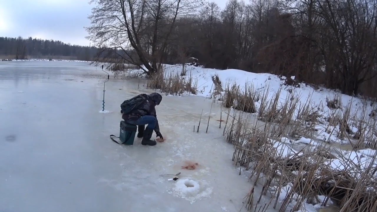 Ловля плотвы зимой. видео | как нужно ловить?