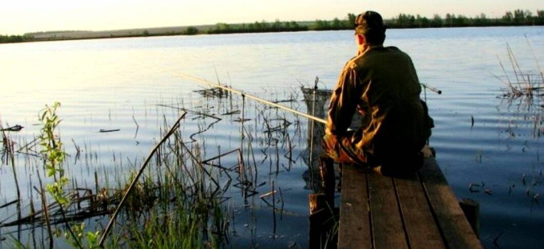 15 лучших рыболовных мест в тамбовской области. платные и бесплатные | животный мир