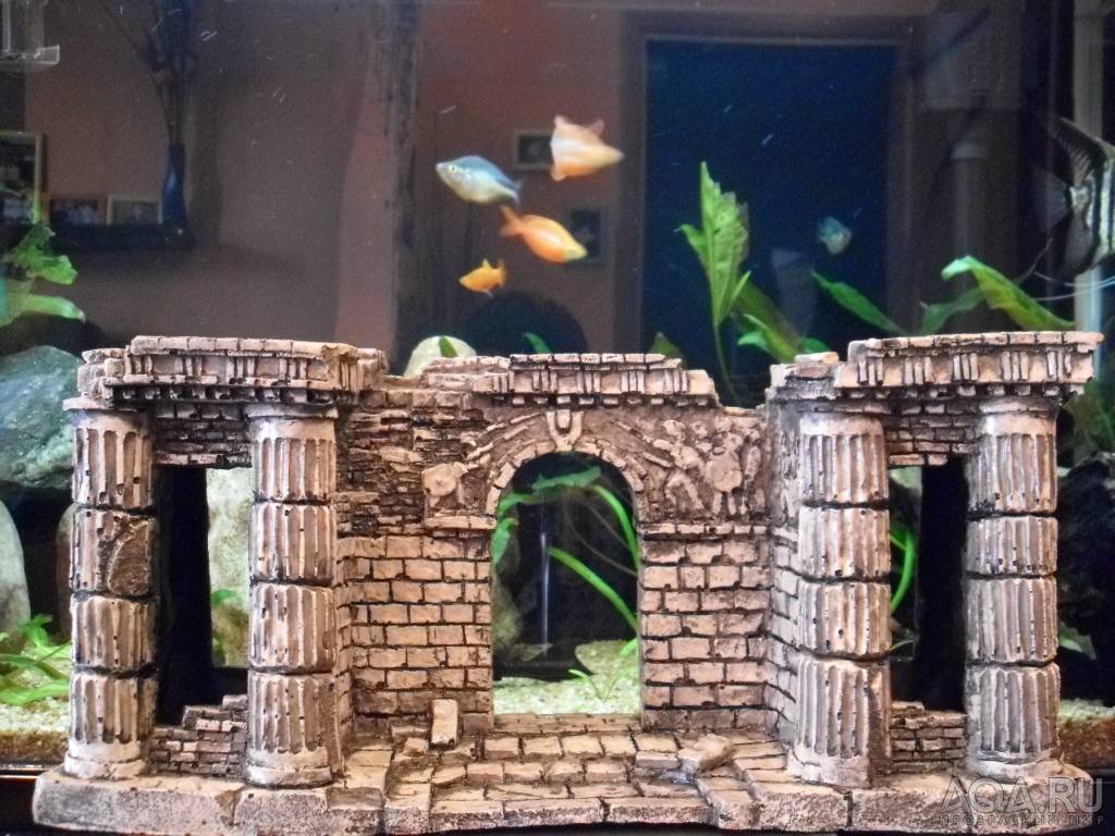 Грот для аквариума своими руками: из камней, дерева, как сделать