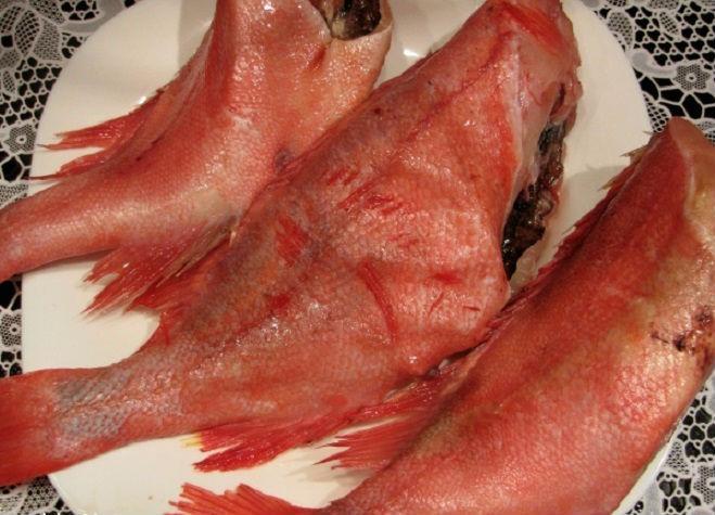Морской окунь: что за рыба, польза и вред, есть ли в нем паразиты