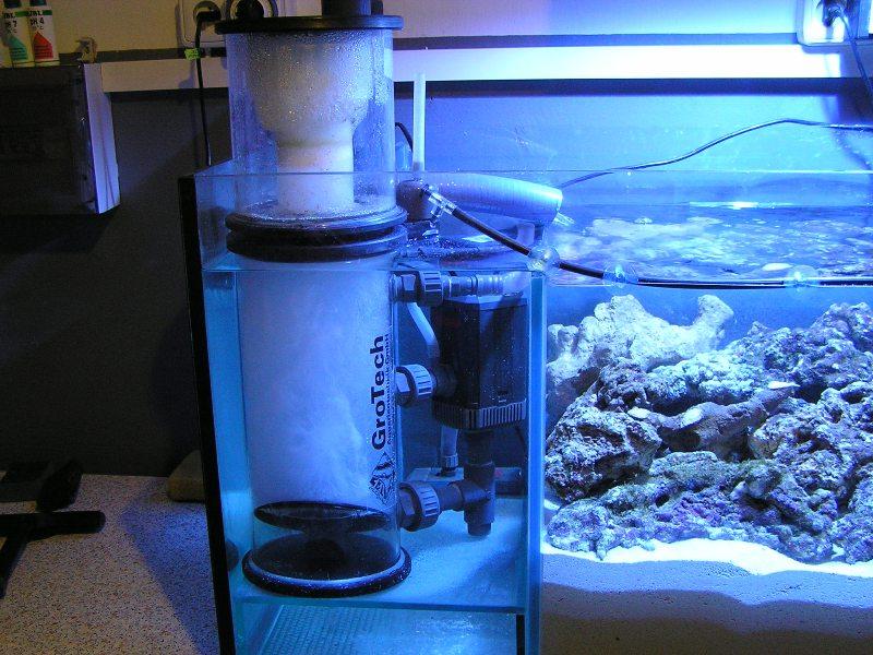 Донный фильтр для аквариума: как работает, можно ли сделать своими руками