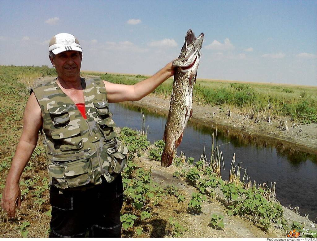 Места для рыбалки в чукотском автономном округе – платная и бесплатная рыбалка!