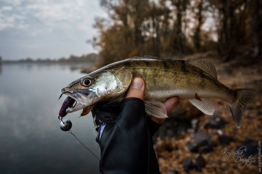 Рыбалка со спиннингом поздней осенью перед ледоставом