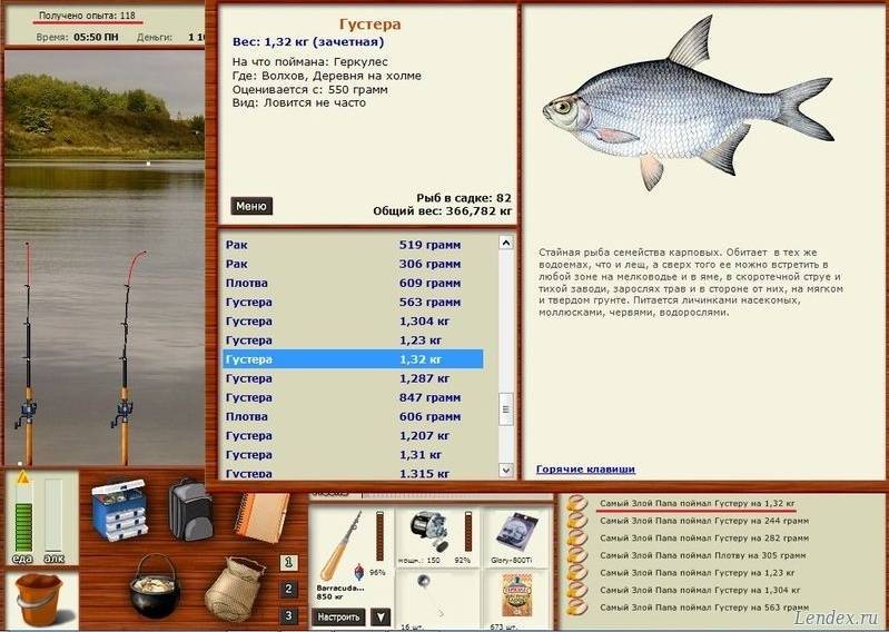 Ловля густеры — особенности рыбалки - fishingwiki