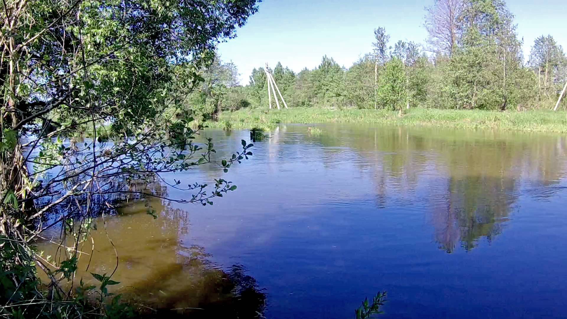 Река Шерна Ногинский