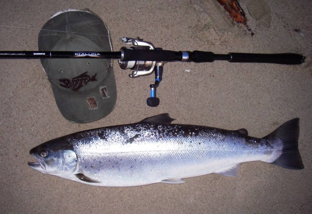 Ловля лосося или семги на спиннинг: воблеры и блесны для спиннинга на лосося
