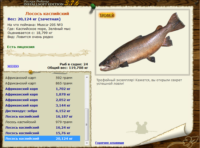 Рыба кумжа фото, описание, особенности ловли