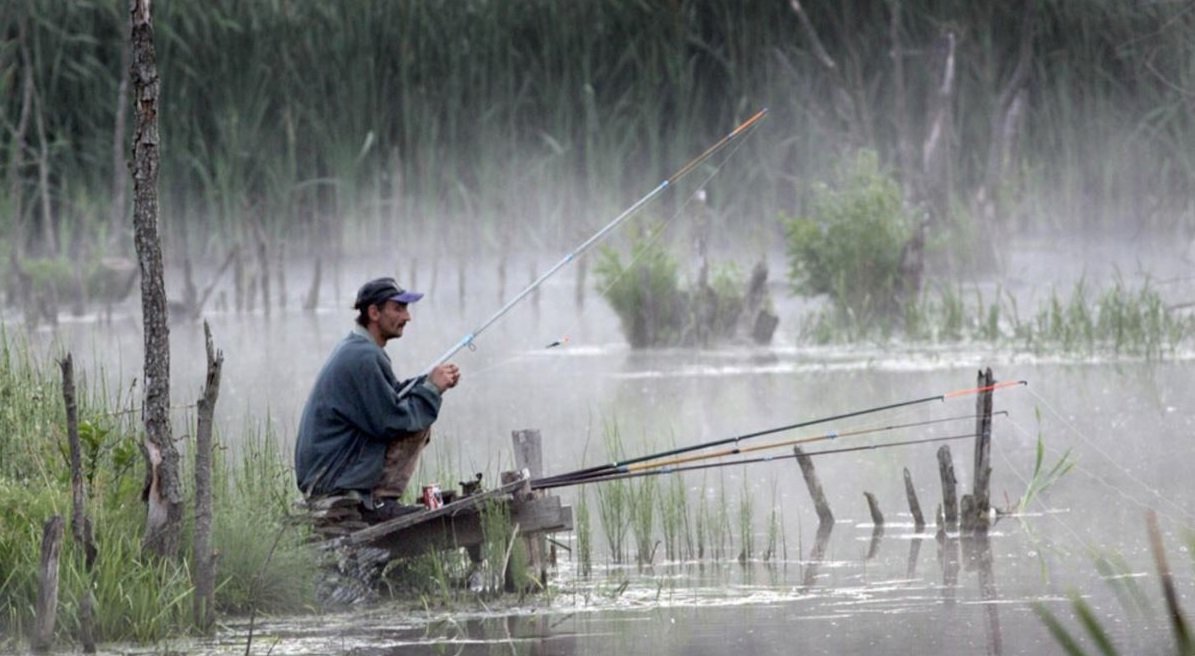 Клюет ли рыба в дождь — особенности рыбалки после дождя летом, качество клева