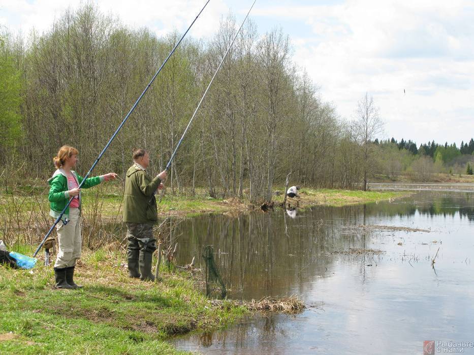 Ловля карася — особенности рыбалки - fishingwiki