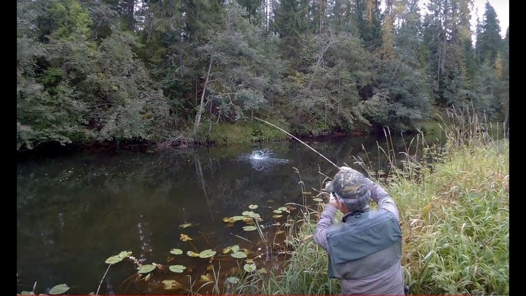 Рыбалка осенью: какая рыба ловится и на что лучше клюёт