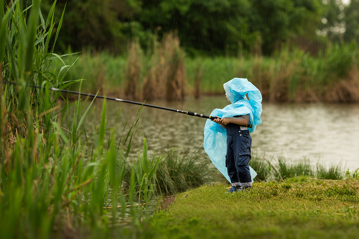 Рекомендации рыбной ловли в дождь