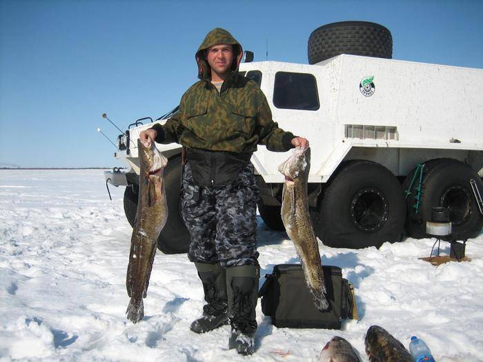 Рыбалка в ямало-ненецком автономном округе и в салехарде - fishingwiki