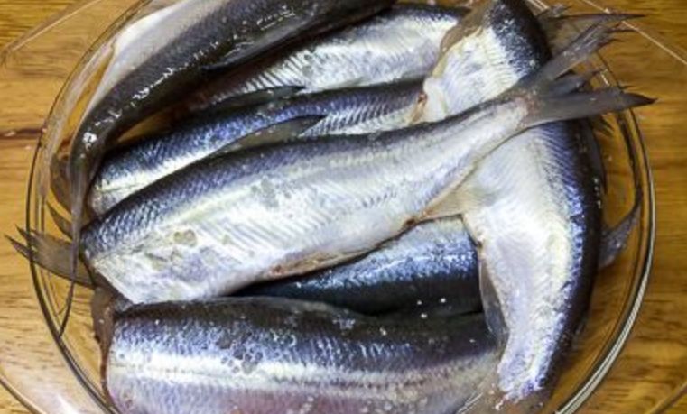 Рыба сырок: рецепт пошагового приготовления