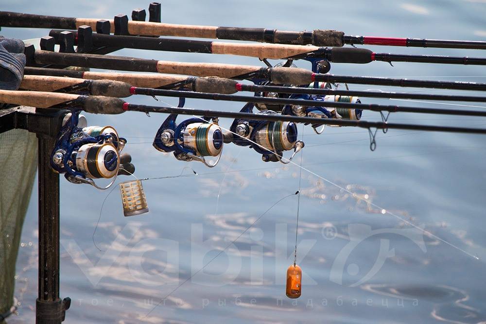 Как выбрать удочку для летней рыбалки для начинающих - рекомендации
как выбрать удочку для летней рыбалки для начинающих - рекомендации